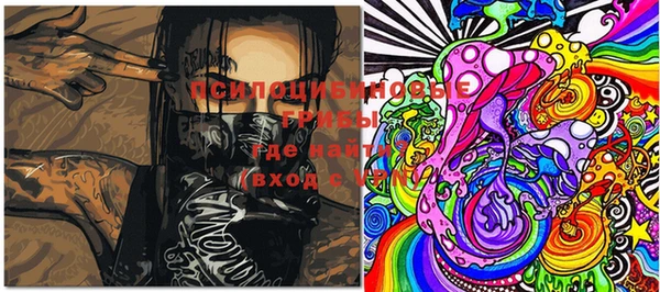 стафф Бородино