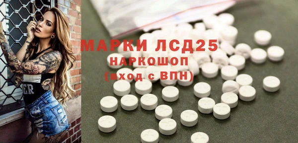 стафф Бородино