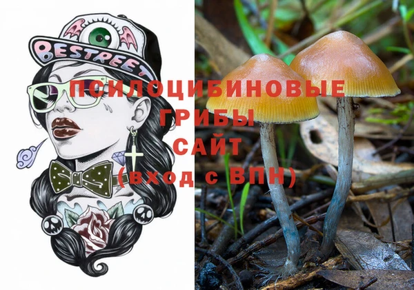 apvp Бугульма